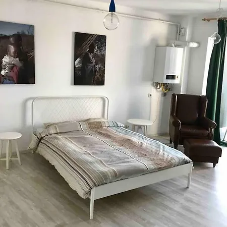 公寓 Beautiful Studio Near The Center Of 克卢日-纳波卡